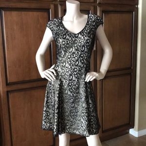 ABS Lace Dress 6